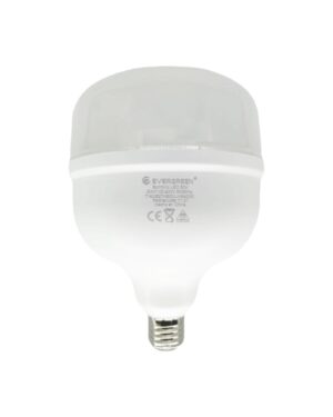 Bombillo Led 60w Evergreen